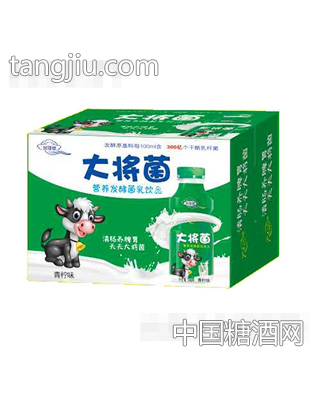 大将菌营养发酵菌乳饮品青柠味