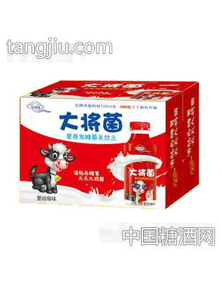 大将菌营养发酵菌乳饮品蔓越莓味