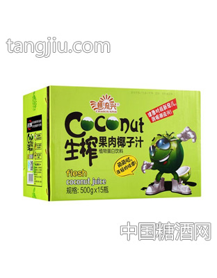 潮流兴椰仔系列生榨果肉椰子汁500gx15瓶