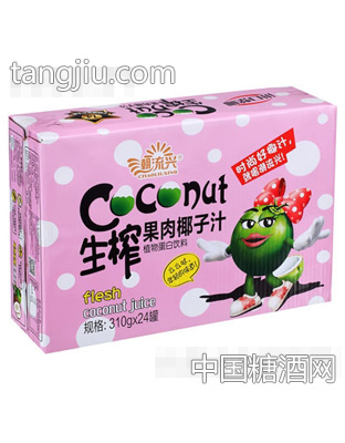 潮流兴椰妹系列生榨果肉椰子汁310gx24罐