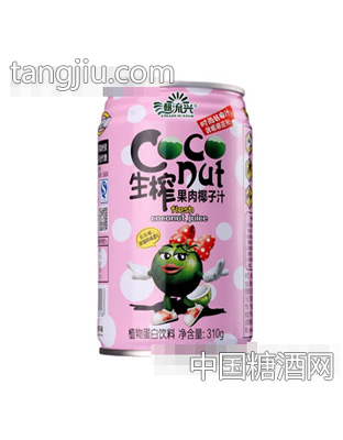 潮流兴椰妹系列生榨果肉椰子汁310g