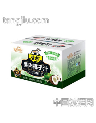 潮流兴健康时尚系列生榨果肉椰子汁500mlx15