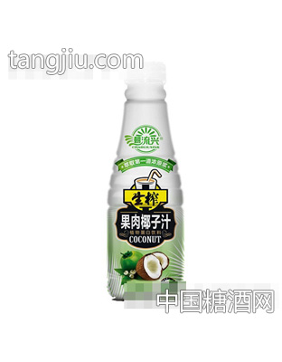 潮流兴健康时尚系列生榨果肉椰子汁500ml