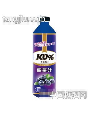晨铭蓝莓汁饮料1.5L