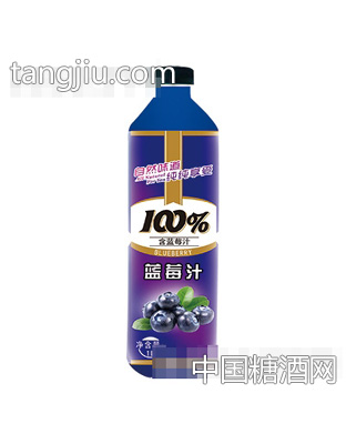 晨铭蓝莓汁饮料1L