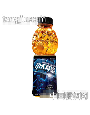 功夫能量维生素果味饮料600ml