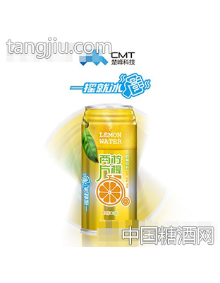 两片柠檬250ml