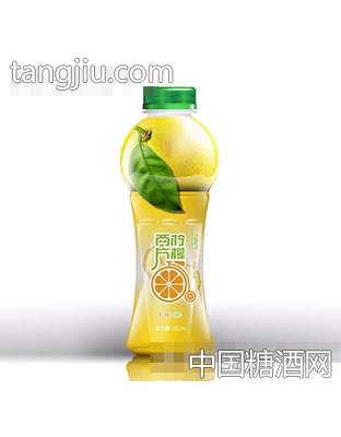 两片柠檬480ml