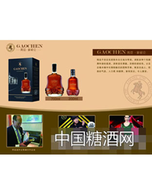 高臣·洛绎诗宣传彩页