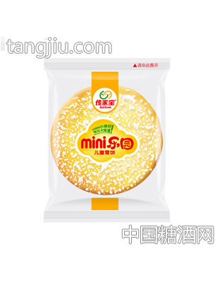 传家宝儿童雪饼