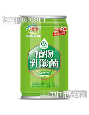 福牛植物乳酸菌310ml罐