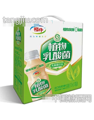 福牛植物乳酸菌饮品手提
