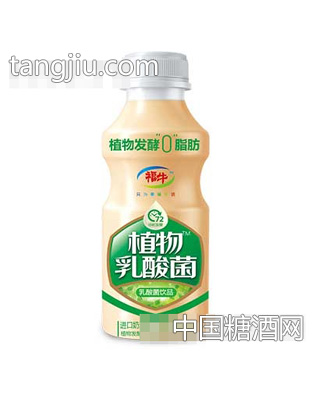 福牛植物乳酸菌330ml