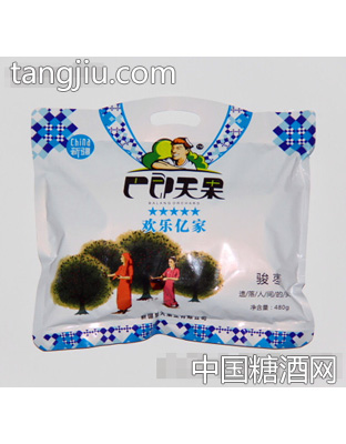 骏枣5星480g
