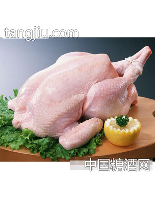 晨鸣三黄鸡