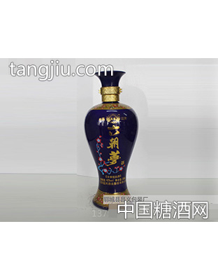 昌义彩瓶CY