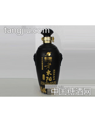 昌义彩瓶CY