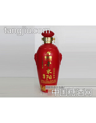 昌义彩瓶CY