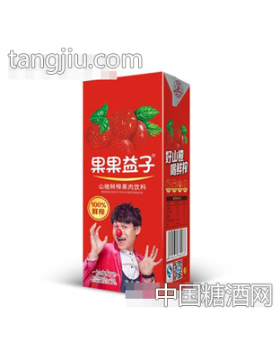 果果益子山楂鲜榨果肉饮料250ml
