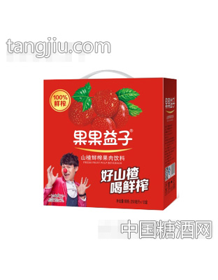 果果益子山楂果肉饮料250mlx12盒