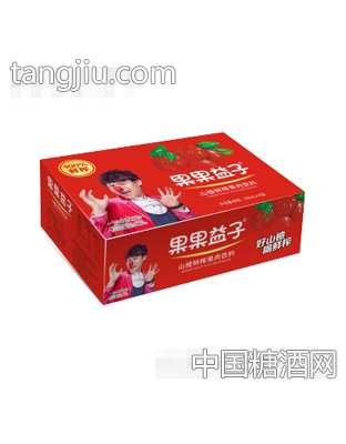 果果益子山楂果肉饮料250mlx16盒