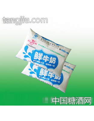 红梅鲜牛奶220ml
