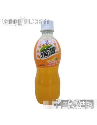 500ml飞雪橘味