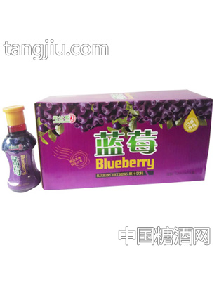 420mlx15瓶愚公果园蓝莓汁