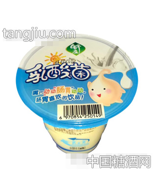野庄乳酸菌