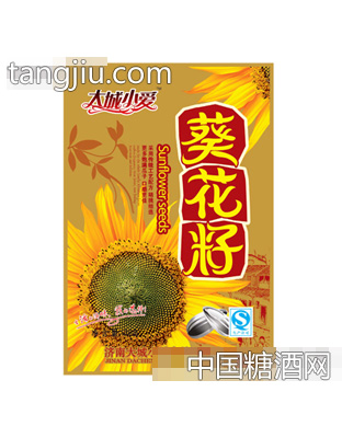 大城小爱葵花籽