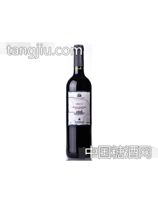 德威堡西班牙梅乐干红葡萄酒2010
