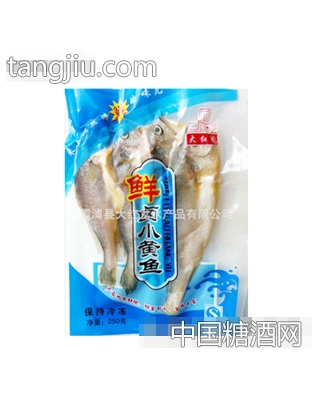 大红龙小黄鱼