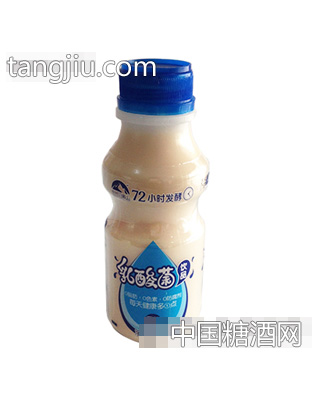 乳酸菌饮品330ml