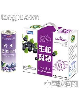 椰先生野生蓝莓汁240mlX12罐