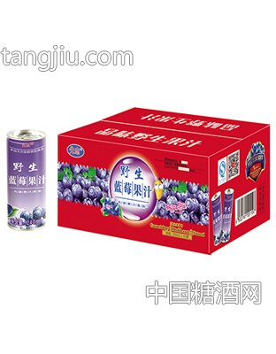先志野生蓝莓汁240mlX16罐