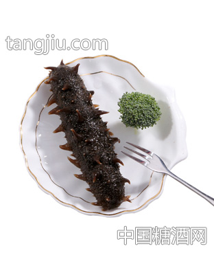 海参美图