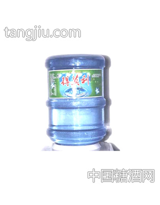 得莫利矿泉水5加仑