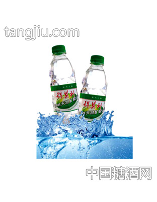 瓶装得莫利矿泉水