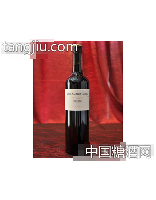 2006伯赖森家族酒庄
