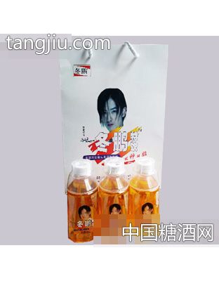 冬鹏特饮维生素运动饮料300ml