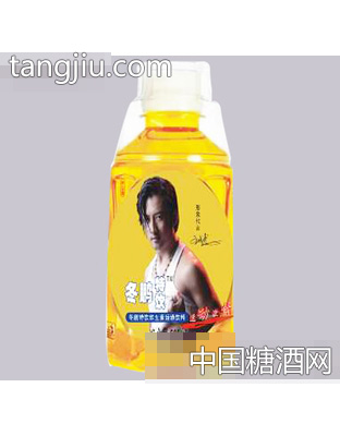 冬鹏特饮维生素运动饮料瓶装300ml