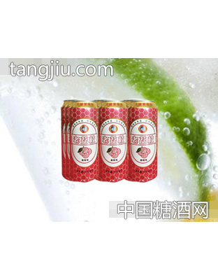 海润德老荔枝果味饮料500ml×9罐