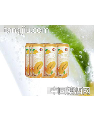 海润德芒果果味饮料500ml×9罐