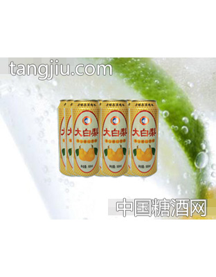 海润德大白梨果味饮料500ml×9罐