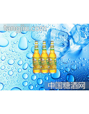 海润德果味啤500ml×9瓶