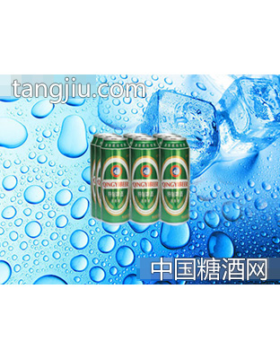 海润德特制啤酒500ml×9罐