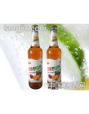 汉斯野山果碳酸饮料