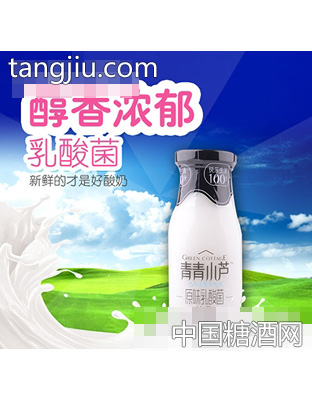 青青小芦原味乳酸菌300ml