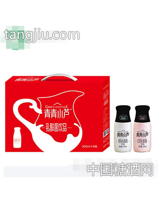 青青小芦红枣乳酸菌箱装300ml