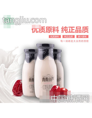青青小芦红枣乳酸菌